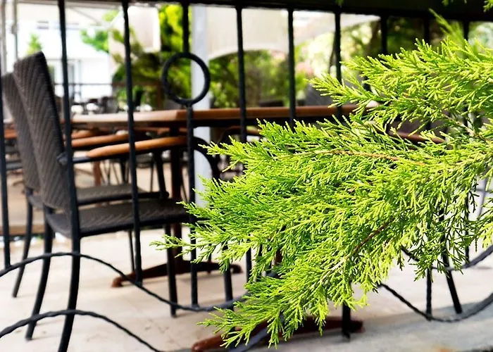 Capre Mare 3* דידים