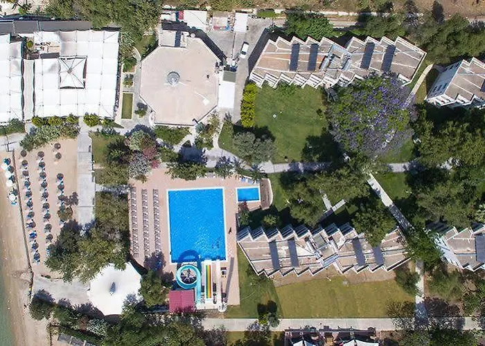 Capre Mare דידים