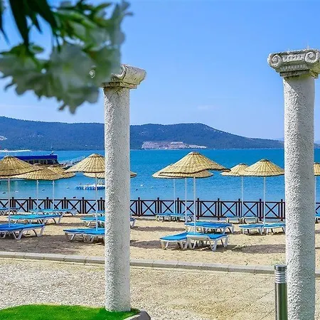 Capre Mare