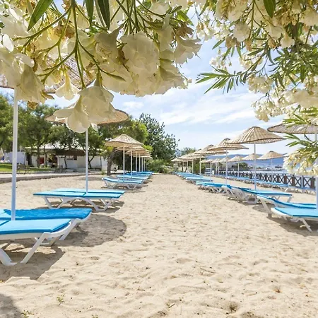 Capre Mare Didim