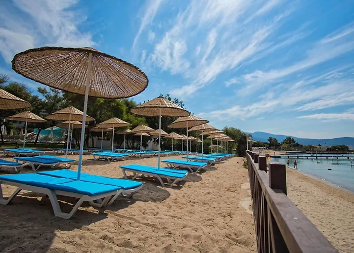 Capre Mare 3* Дидим